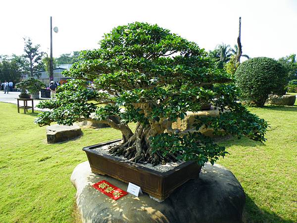 DSCF9170.JPG DSCF9170.JPG