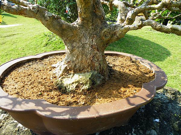 DSCF9172.JPG DSCF9172.JPG