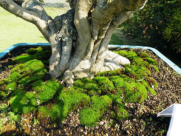 DSCF9177.JPG DSCF9177.JPG