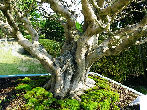 DSCF9178.JPG DSCF9178.JPG