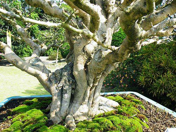 DSCF9179.JPG DSCF9179.JPG