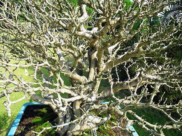 DSCF9180.JPG DSCF9180.JPG