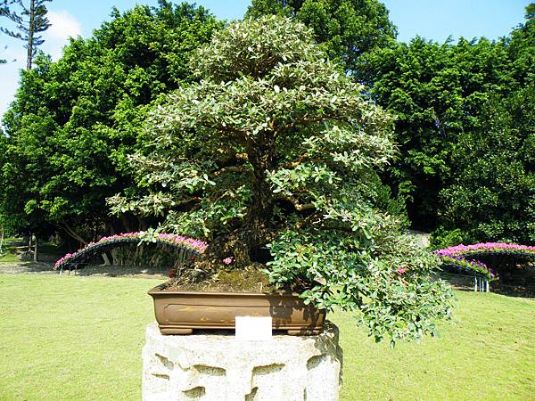 DSCF9182.JPG DSCF9182.JPG