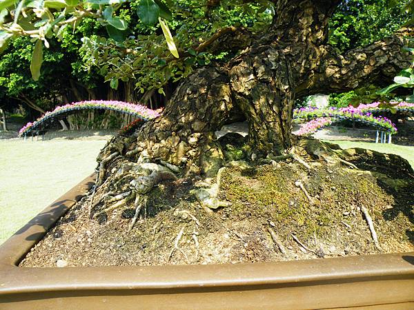 DSCF9183.JPG DSCF9183.JPG