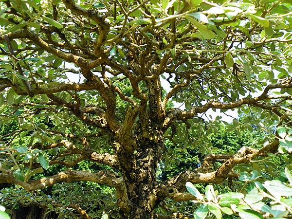 DSCF9185.JPG DSCF9185.JPG