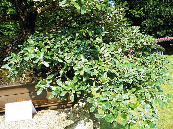 DSCF9186.JPG DSCF9186.JPG