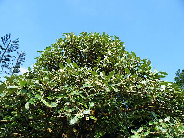 DSCF9187.JPG DSCF9187.JPG