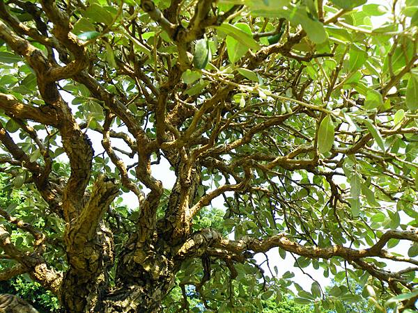 DSCF9188.JPG DSCF9188.JPG