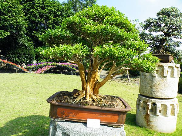 DSCF9189.JPG DSCF9189.JPG