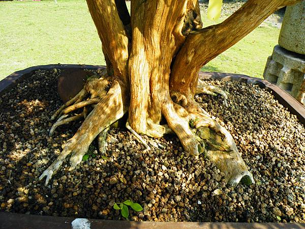 DSCF9190.JPG DSCF9190.JPG