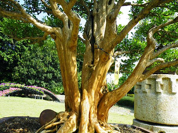 DSCF9191.JPG DSCF9191.JPG