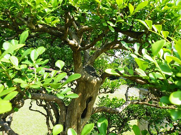 DSCF9192.JPG DSCF9192.JPG