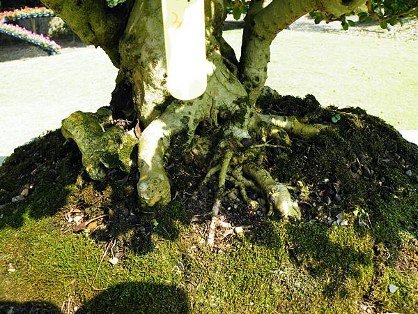 DSCF9196.JPG DSCF9196.JPG