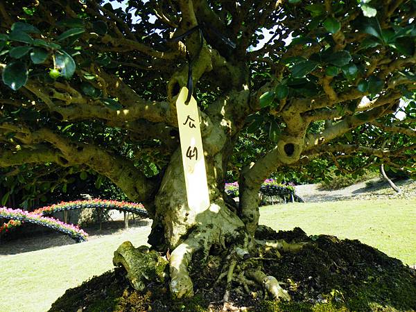 DSCF9197.JPG DSCF9197.JPG