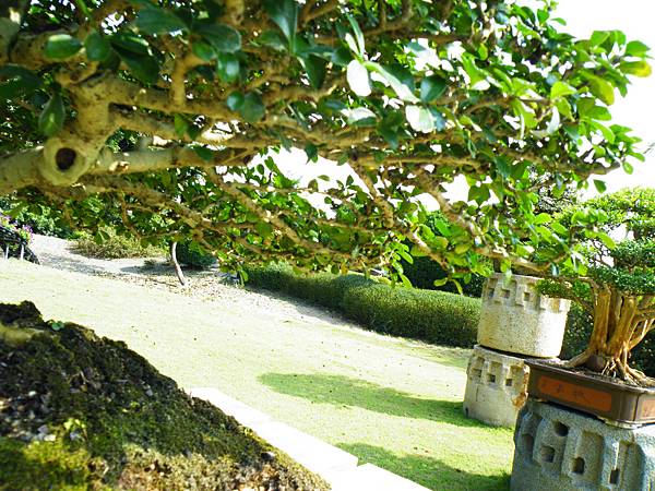 DSCF9198.JPG DSCF9198.JPG