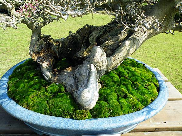 DSCF9200.JPG DSCF9200.JPG