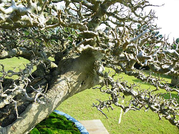 DSCF9201.JPG DSCF9201.JPG