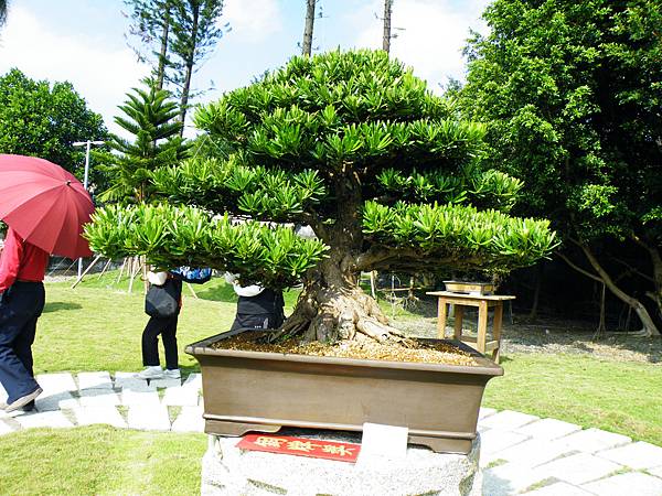 DSCF9202.JPG DSCF9202.JPG