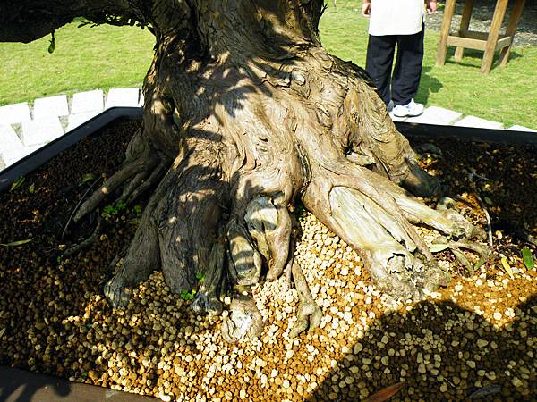 DSCF9204.JPG DSCF9204.JPG