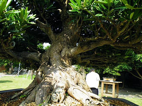 DSCF9205.JPG DSCF9205.JPG