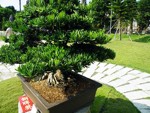 DSCF9207.JPG DSCF9207.JPG