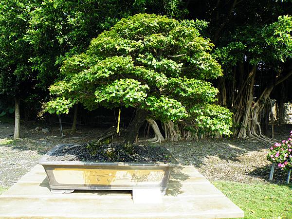 DSCF9208.JPG DSCF9208.JPG