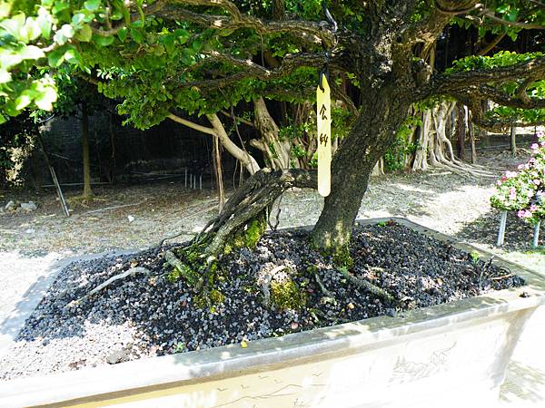 DSCF9209.JPG DSCF9209.JPG