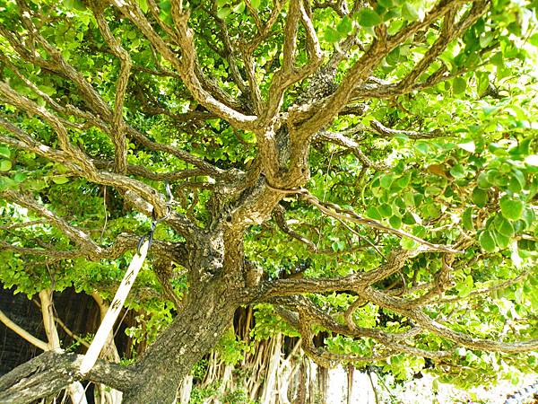 DSCF9210.JPG DSCF9210.JPG