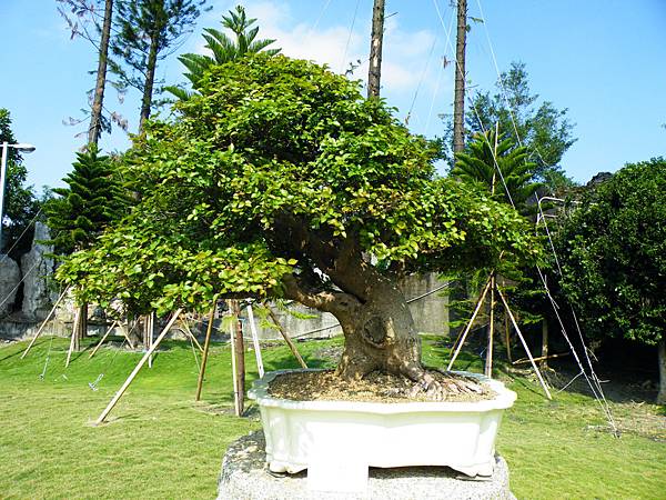 DSCF9212.JPG DSCF9212.JPG