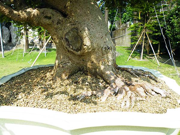 DSCF9213.JPG DSCF9213.JPG