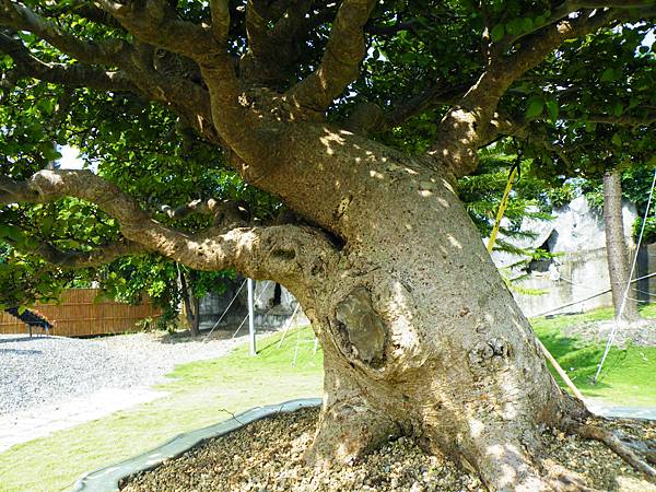 DSCF9214.JPG DSCF9214.JPG