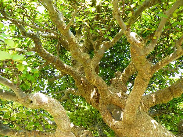 DSCF9215.JPG DSCF9215.JPG