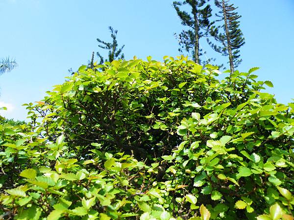 DSCF9216.JPG DSCF9216.JPG