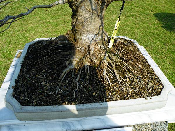 DSCF9218.JPG DSCF9218.JPG