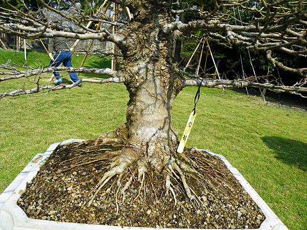 DSCF9220.JPG DSCF9220.JPG