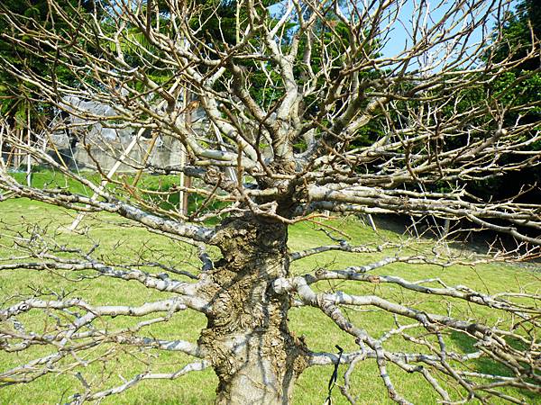 DSCF9221.JPG DSCF9221.JPG