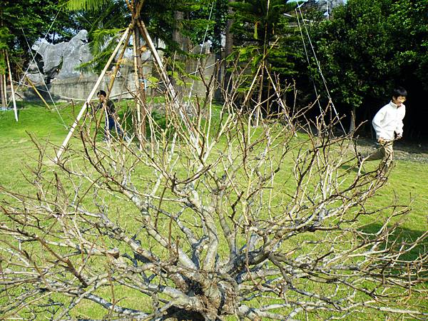 DSCF9222.JPG DSCF9222.JPG