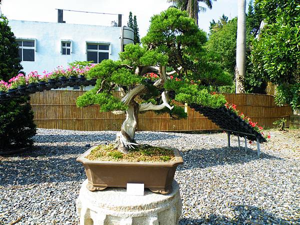 DSCF9223.JPG DSCF9223.JPG