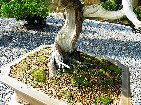 DSCF9224.JPG DSCF9224.JPG