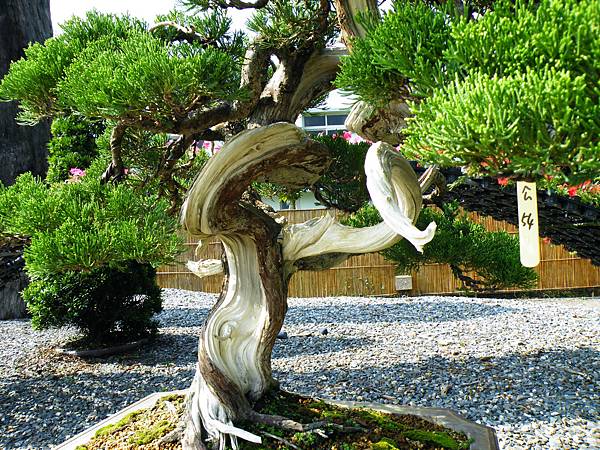 DSCF9225.JPG DSCF9225.JPG