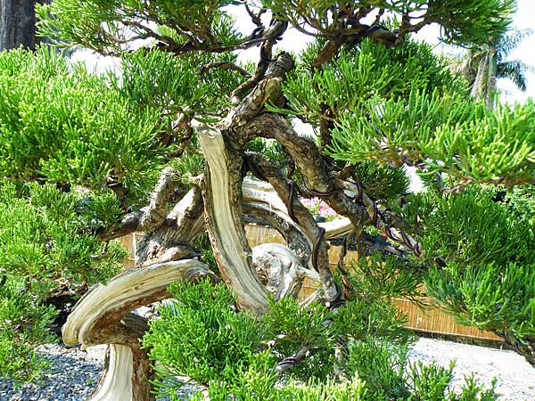 DSCF9226.JPG DSCF9226.JPG