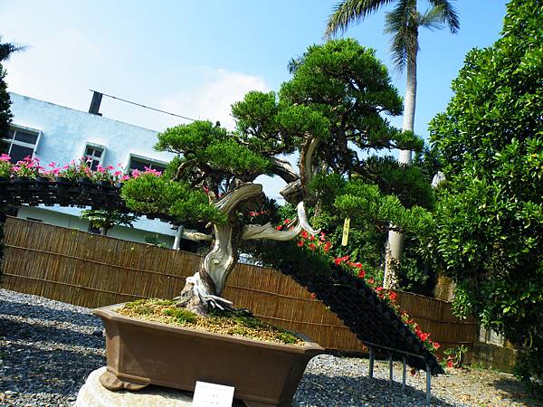 DSCF9227.JPG DSCF9227.JPG