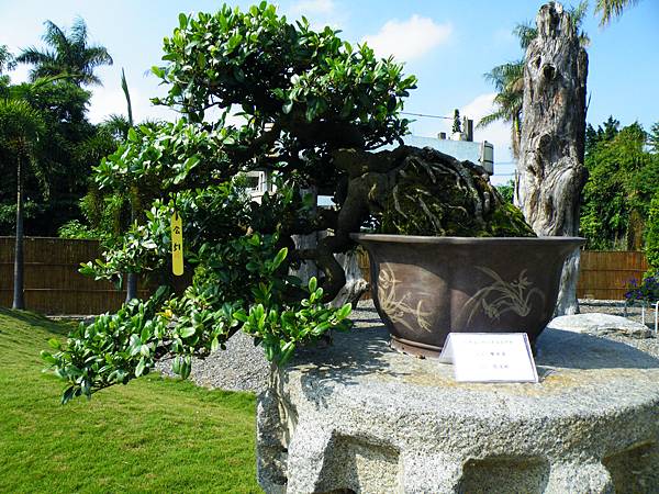 DSCF9228.JPG DSCF9228.JPG