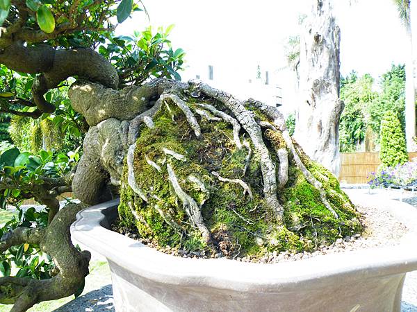 DSCF9229.JPG DSCF9229.JPG