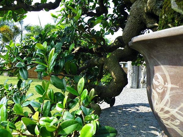 DSCF9231.JPG DSCF9231.JPG