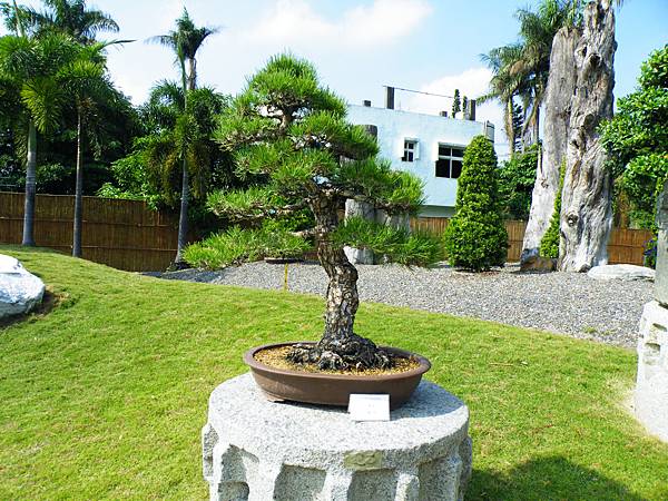 DSCF9232.JPG DSCF9232.JPG