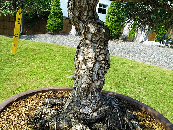 DSCF9234.JPG DSCF9234.JPG