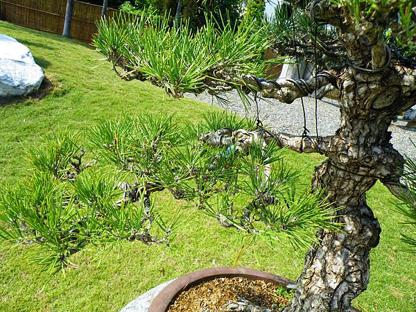 DSCF9236.JPG DSCF9236.JPG