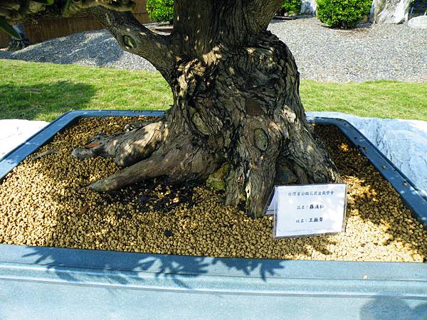 DSCF9239.JPG DSCF9239.JPG