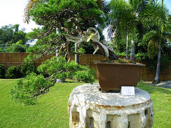 DSCF9243.JPG DSCF9243.JPG